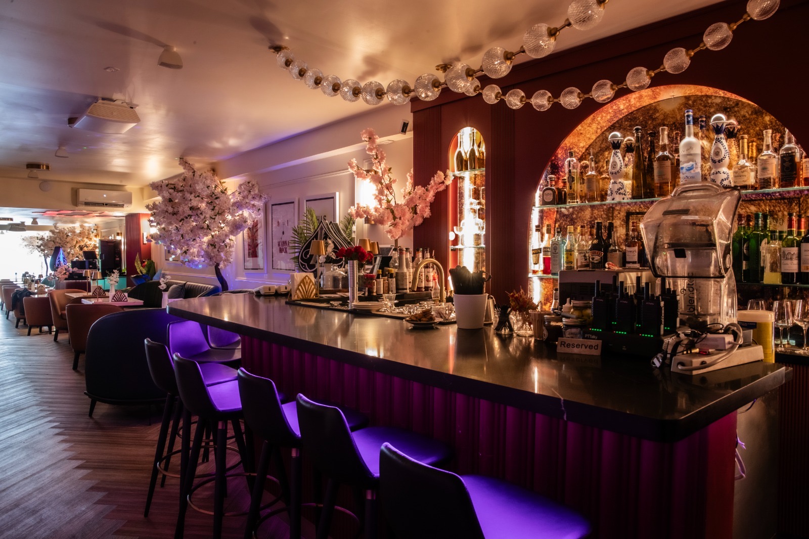 Bar stools and arched spirit display glowing in violet light