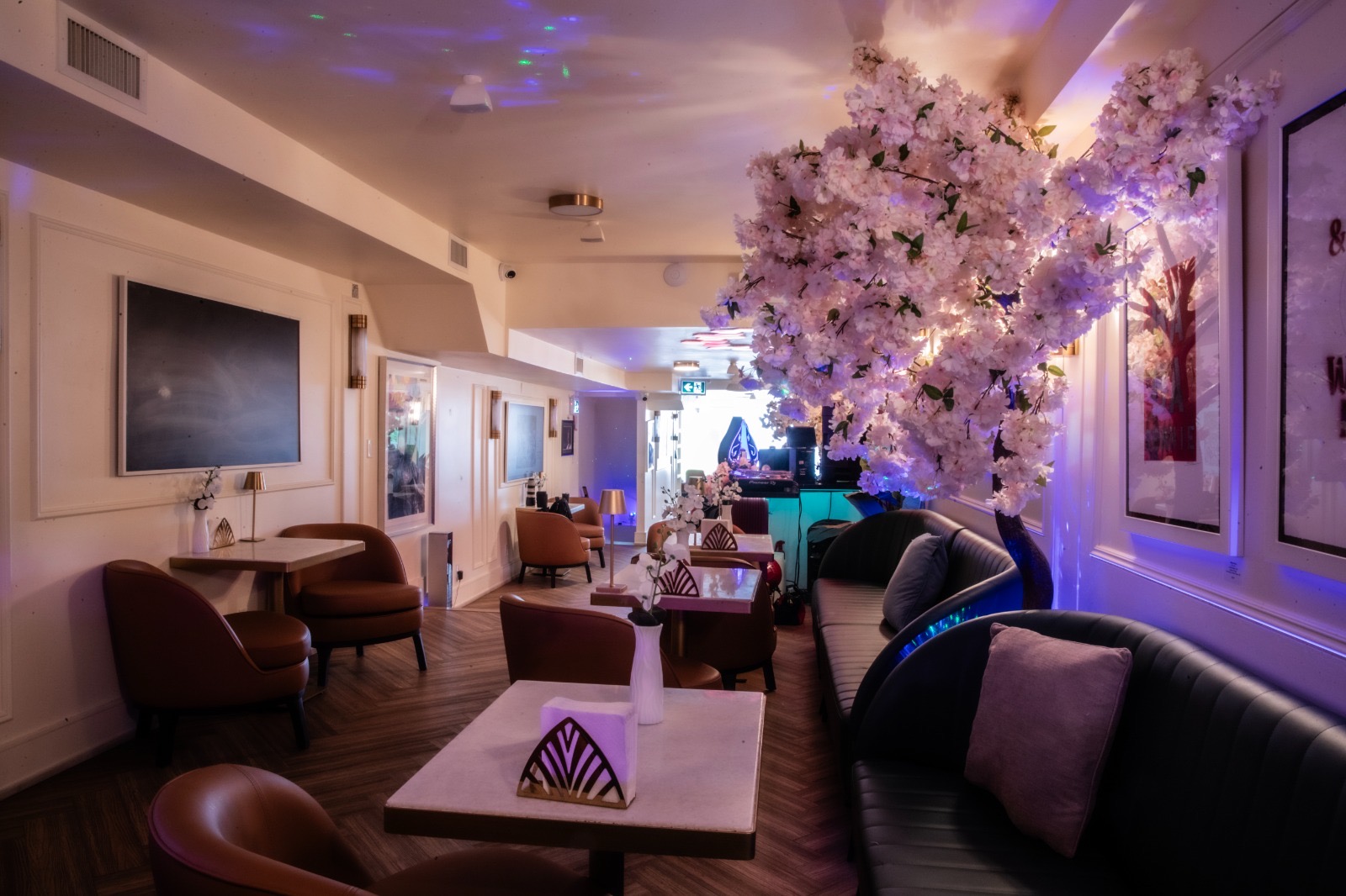 Lounge interior with starry projector lights and blossom canopy